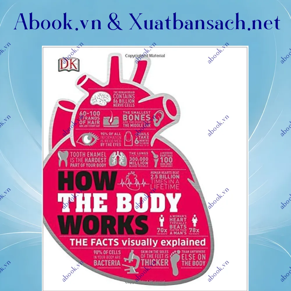 review-how-the-body-works-big-stuff-simply-explained 